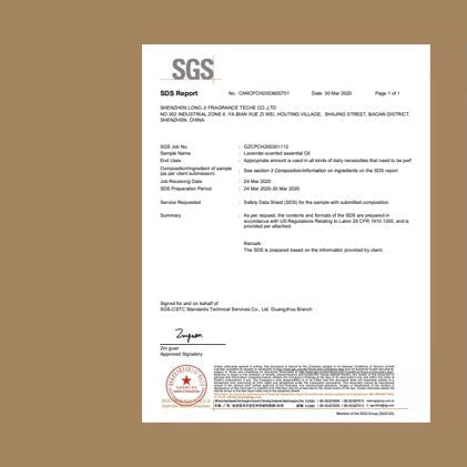 Handmade Ceramic Lotus Incense Holder Tray – White Lotus Flower Jewelry Dish & Zen Home Decor